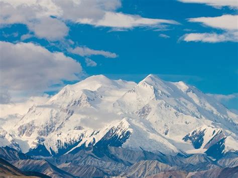 Denali Tours