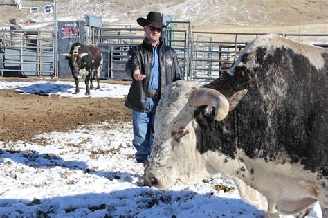 Restless native: Top bucking bulls baddest in the business; carrying on ...