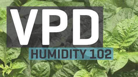 Humidity 102: Vapor Pressure Deficit — VPD Chart - YouTube