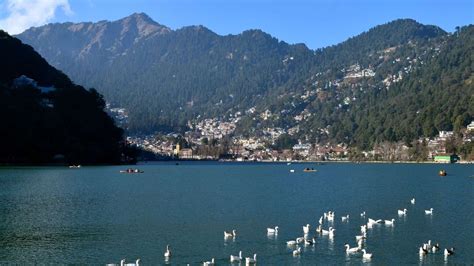 Pangot Bird Watching Trip, (Nainital) Uttarakhand | Weekend Getaway