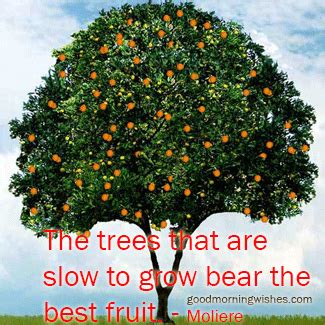 Bear Fruit Quotes. QuotesGram