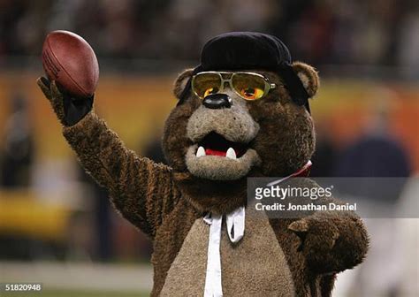 Staley Da Bear Photos and Premium High Res Pictures - Getty Images