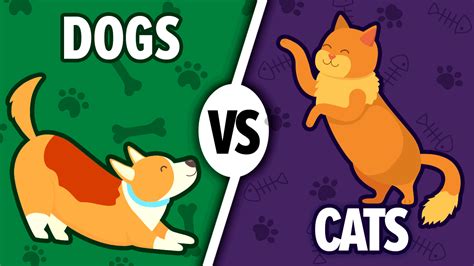 Cats vs Dogs: 11 Things you should consider before making your choice