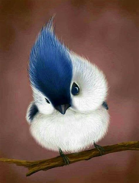 Cute baby bird | Beautiful birds, Most beautiful birds, Pet birds