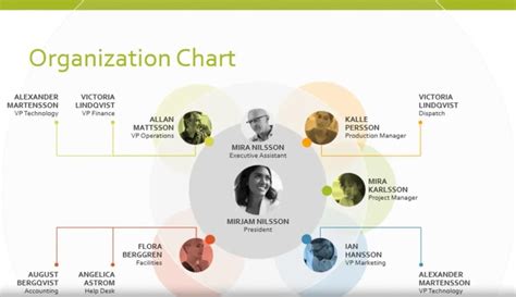 Organisation Chart Template