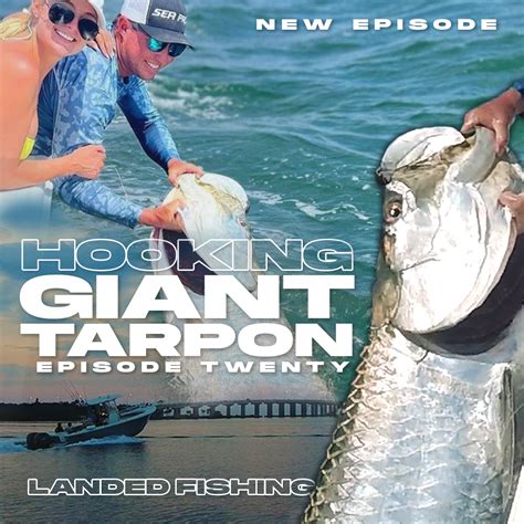 Hooked on Tarpon: Fishing Guide to Catching Giants!