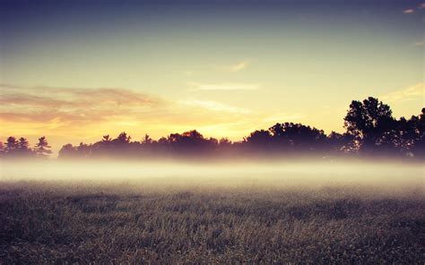 wallpapers: Early Morning Fog Wallpapers