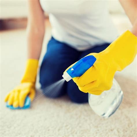 Unusual Carpet Cleaning Methods You Can Use at Home | Mum In The Madhouse