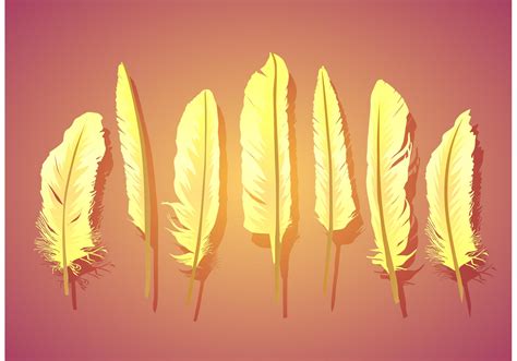 Vector Feather Isolated 82581 Vector Art at Vecteezy
