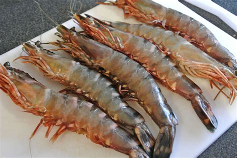 Fresh Tiger Prawns for Mess, Rs 1100 /kg Fakih Foods | ID: 13744446530