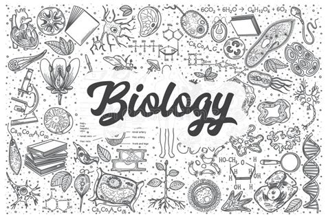 Hand Drawn Biology Vector Doodle Set. Stock Vector - Illustration of ...