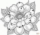 Lotus Flower coloring Page  Free Printable Coloring Pages sketch template