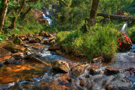 Magoebaskloof waterfall in Limpopo South Africa