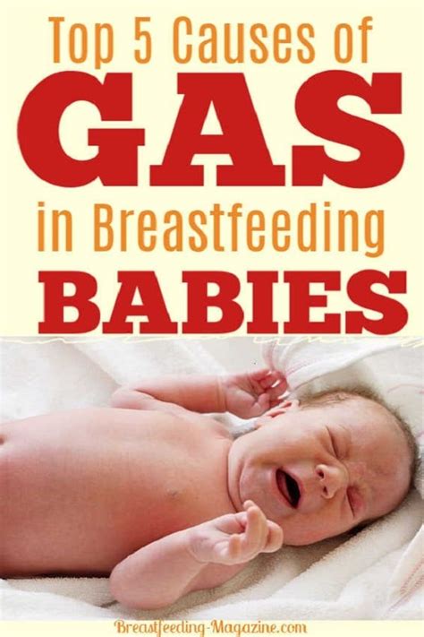 Gassy Baby? Causes and Remedies for Breastfeeding Babies | Breastfeeding, Gassy baby, Newborn care