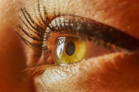 100,000+ Free Red Eyes & Eye Images - Pixabay