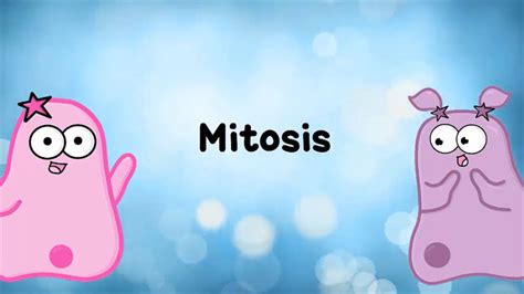 The Amoeba Sisters: Mitosis--The Amazing Cell Process That Uses Division to Multiply!