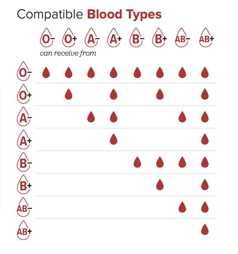 Types of Donation - Donate Blood - The Blood Connection