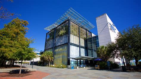 South Carolina Aquarium in Charleston, South Carolina | Expedia.ca