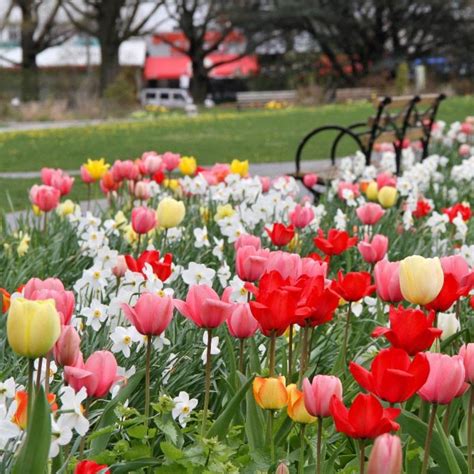 Queens Botanical Garden reopens to visitors enforcing safety and health guidelines – QNS