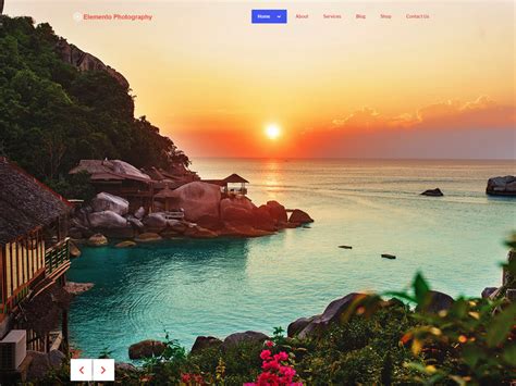 Top 10+ Best Free WordPress Photography Themes (Updated) - Code Pixelz