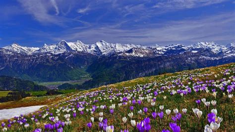 Spring Desktop Wallpaper Hd > - Spring Mountain Wallpaper Hd (#2105005 ...