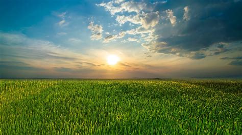 The Picturesque Sunset Above Green Field Stock Footage SBV-334289862 - Storyblocks