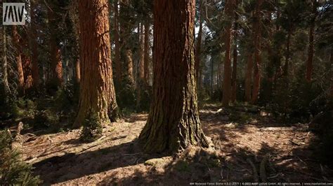 MW Redwood Tree Forest Biome 5.0 | Game Assets Free