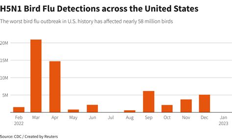 Cal-Maine shares fall from record highs in wake of avian flu outbreak | Reuters