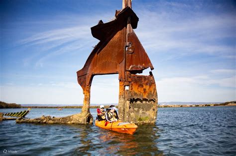 Dolphin Sanctuary Kayaking Tour in Adelaide - Klook United States