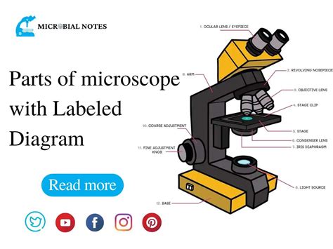 Parts of microscope with Labeled Diagram - Microbial notes