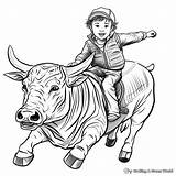 Bull Riding Coloring Pages  Free & Printable sketch template
