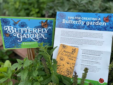 Butterfly Garden Kit – Environmental Action Shop