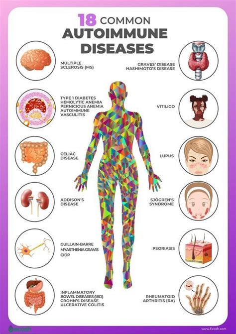 18 Common Autoimmune Diseases #medschool #doctor #medicalstudent - Image Credits: Audrey Herman ...