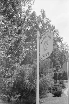 "Lynchburg College Entrance Sign"