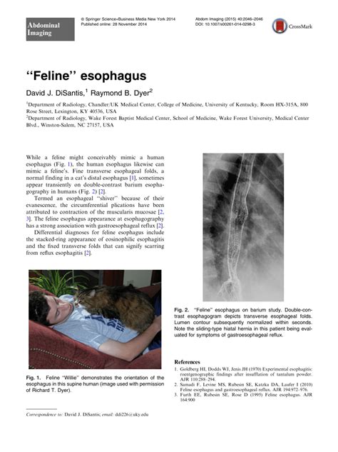 (PDF) "Feline" esophagus