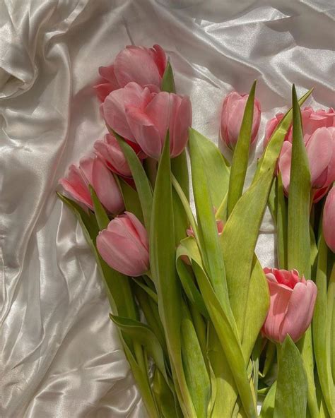 pink tulips are arranged in a bouquet on a white satin sheeted surface