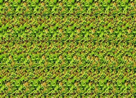 Stereograms Wallpaper | Magic eye pictures, Magic eyes, Eye illusions