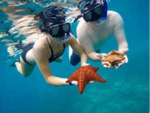 Enjoy Snorkeling in Punta Cana