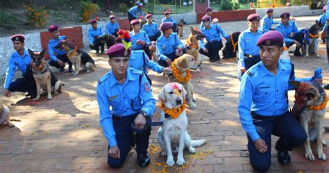 [In pictures] Nepal thanks its pet dogs as part of five-day Tihar festival