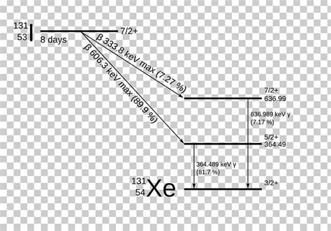 Iodine-131 Decay Scheme Radioactive Decay Beta Decay Iodine-125 PNG, Clipart, Angle, Area ...