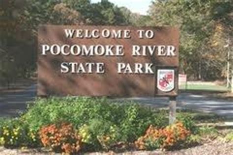 Pocomoke River State Park | Historic Horse Trails - Maryland Equine Heritage Trail Initiative