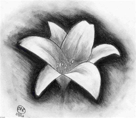 Charcoal Drawing For Beginners at PaintingValley.com | Explore collection of Charcoal Drawing ...