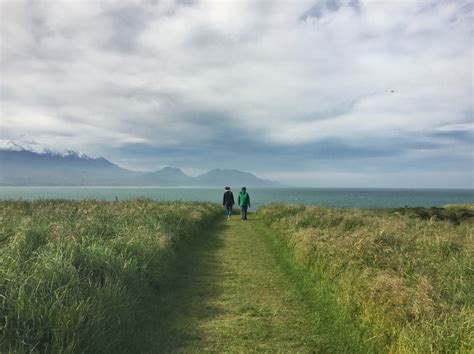 THE SCENIC KAIKOURA PENINSULA WALKWAY (101 GUIDE)