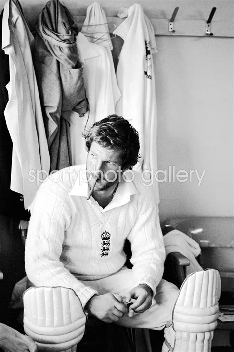 Ashes 1981 Print | Cricket Posters | Ian Botham