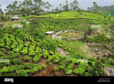 Glamping Lakeside, Rancabali, Ciwidey, Bandung, Indonesia Stock Photo - Alamy