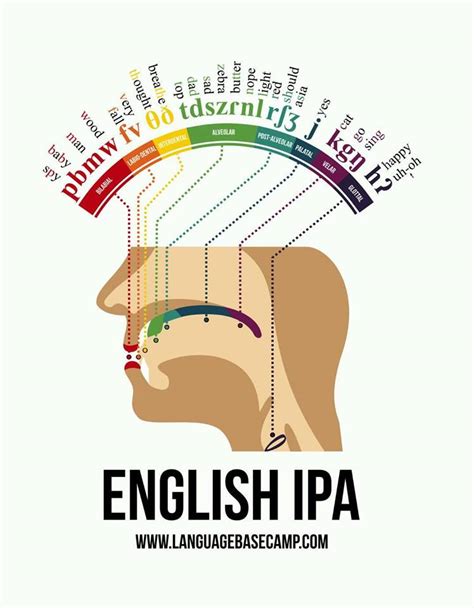 How your mouth pronounces words : r/interestingasfuck