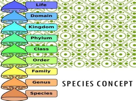 Species concept