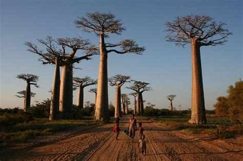 10 Most Famous Natural Landmarks In Africa - 10 Most Today