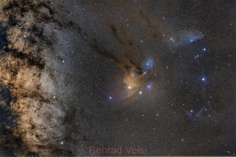 Antares star and Rho Ophiuchi cloud complex (AstroBehradphotos) - AstroBin