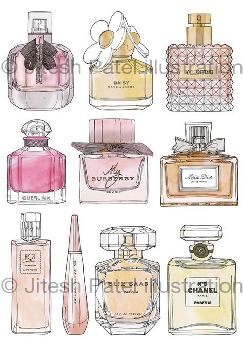 Perfume Bottle